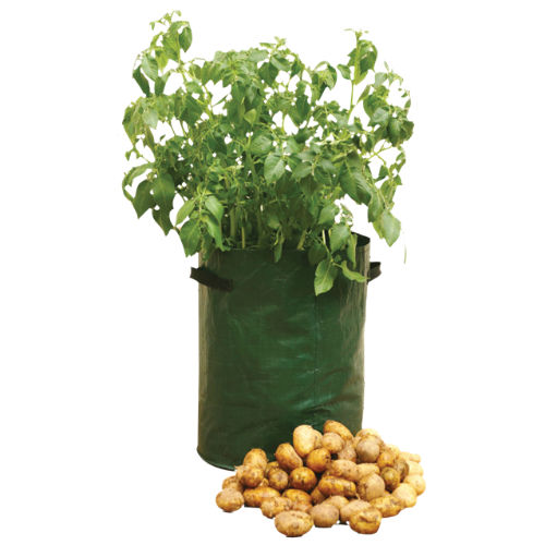 POTATO PLANTER WITH HANDLES